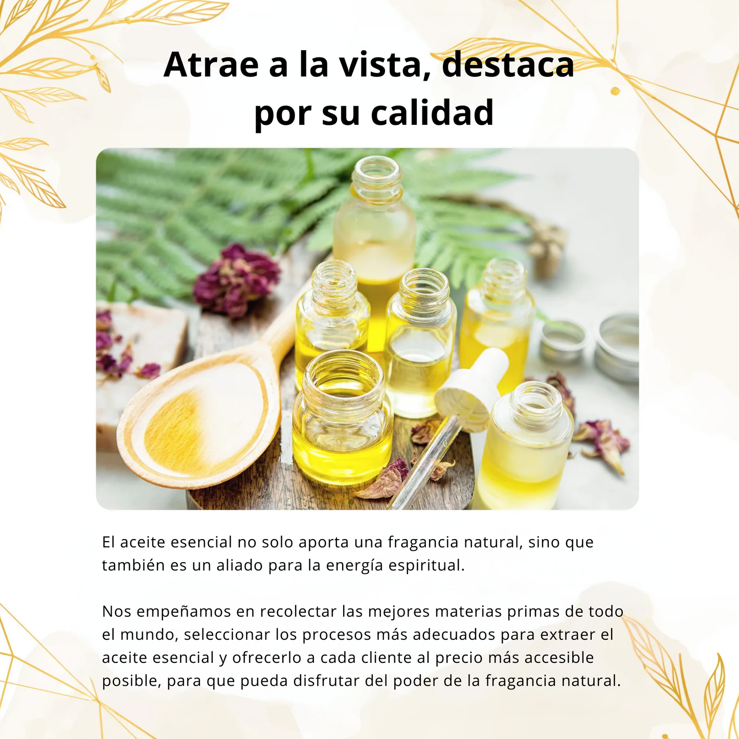 Vital Essence Pack - Bienestar y aromaterapia con nuestros aceites esenciales